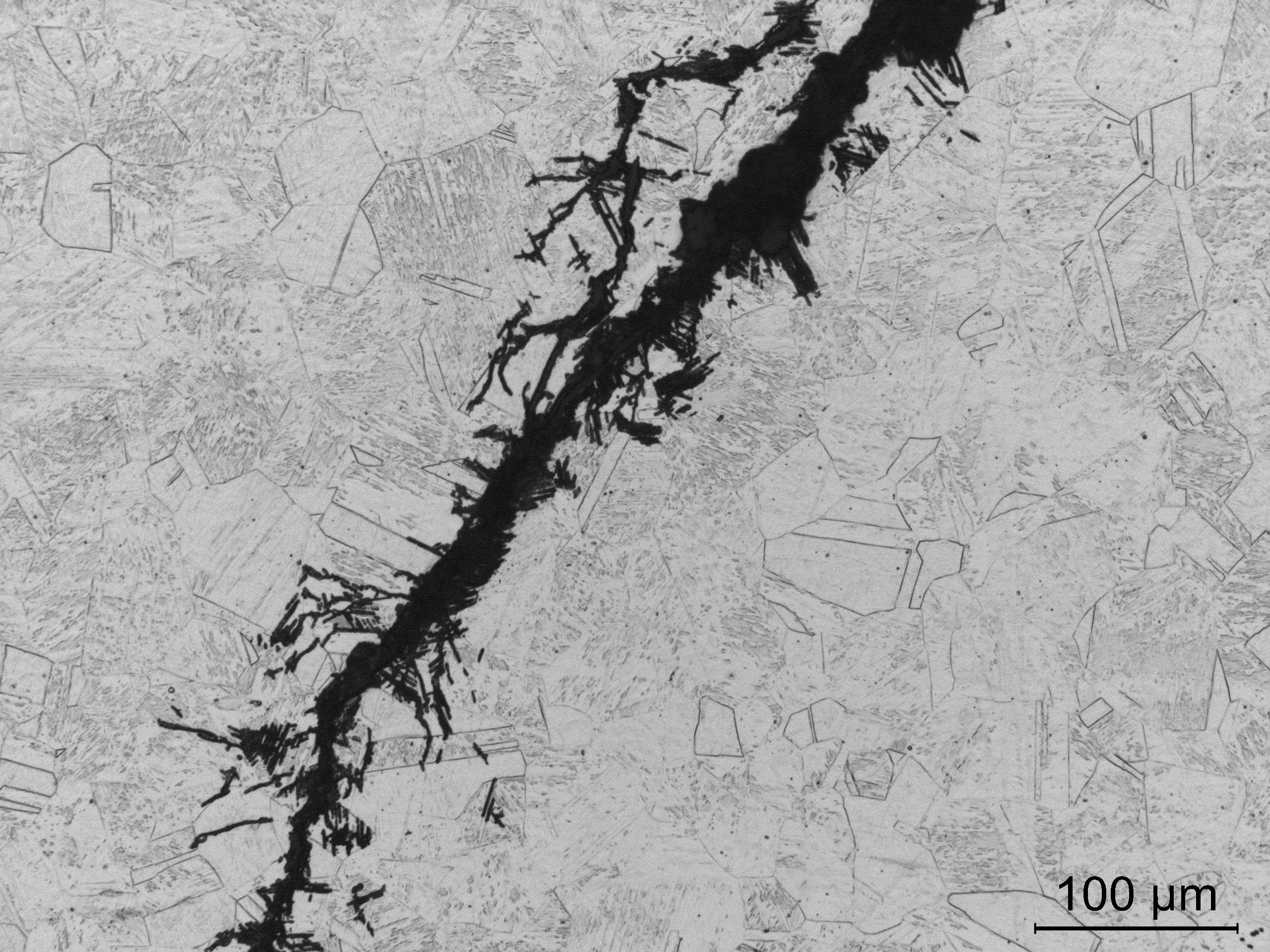 Micrograph showing a black vein within a crystalline matrix, highlighting structural features at 100 micrometers scale. Relevant for materials analysis.