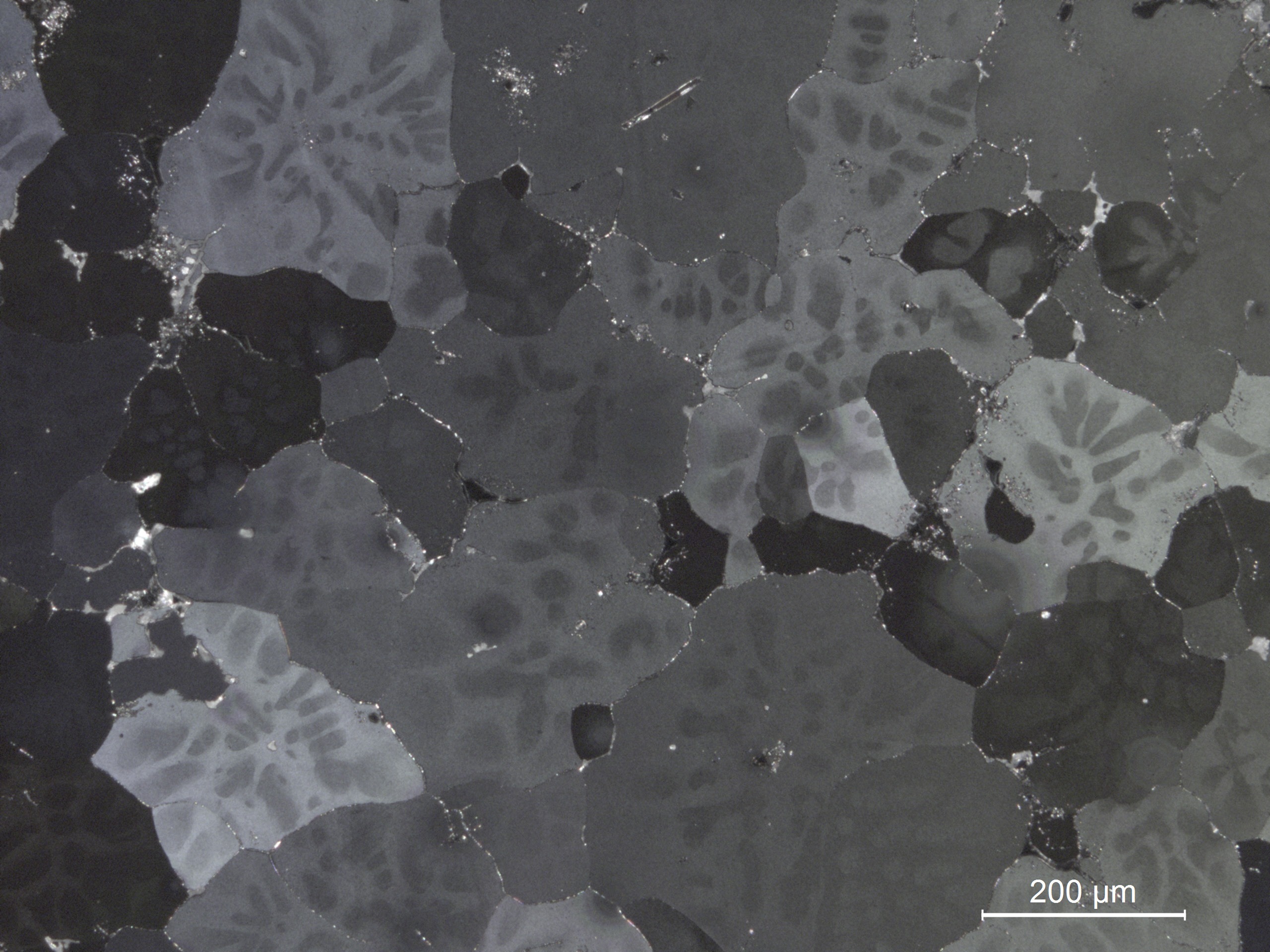 Micrograph showing irregularly shaped crystalline structures in shades of gray, with a scale bar indicating 200 micrometers. Relevant to materials science analysis.