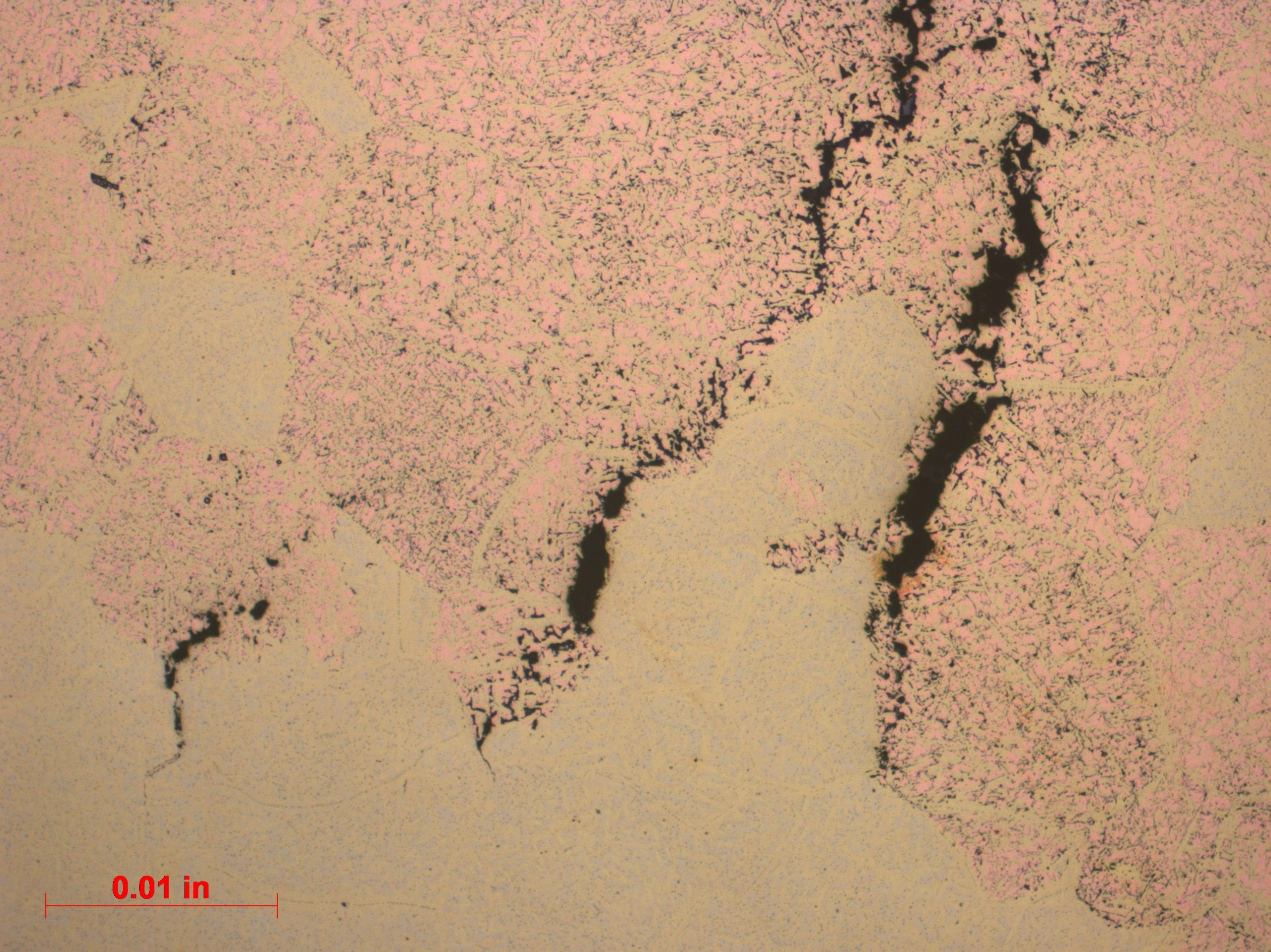 Close-up of a piece of paper featuring a black and pink design, highlighting the contrast between the two colors.