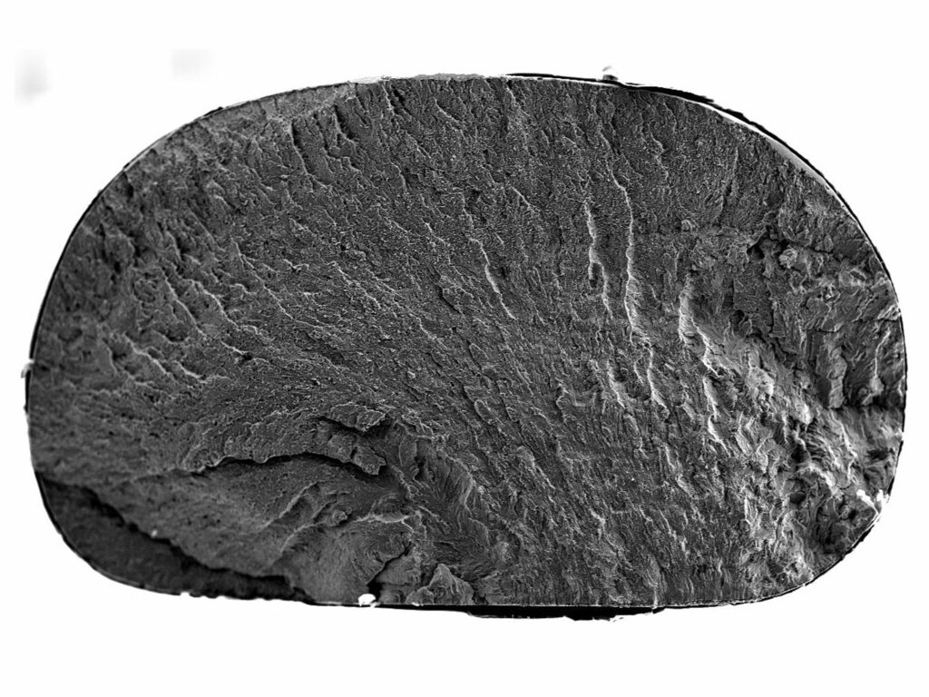 Close-up view of a textured mineral sample, showcasing intricate layered patterns in monochrome. Relevant for geological analysis and study.